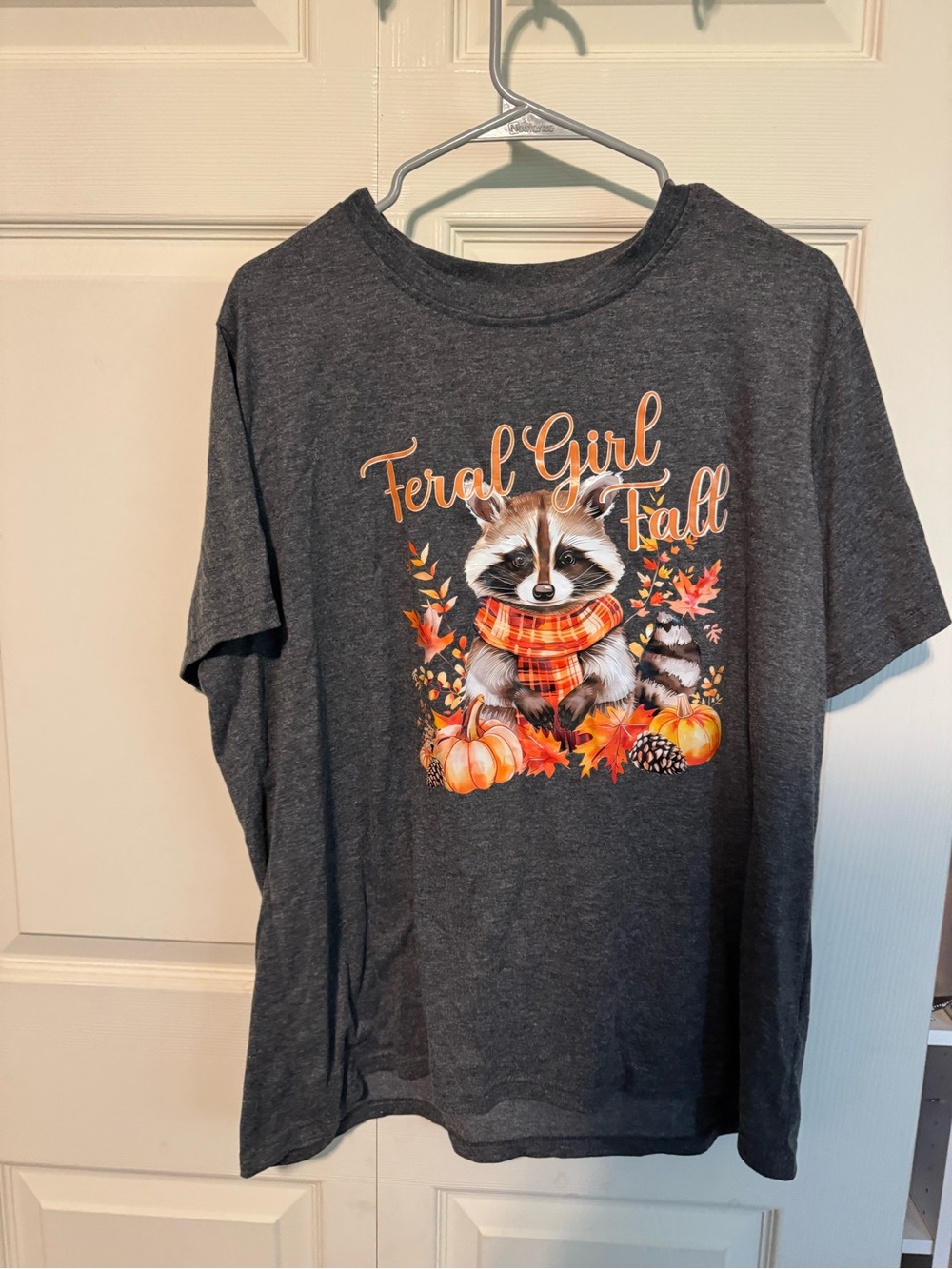 Fall Raccoon Graphic Tee - Dark Gray